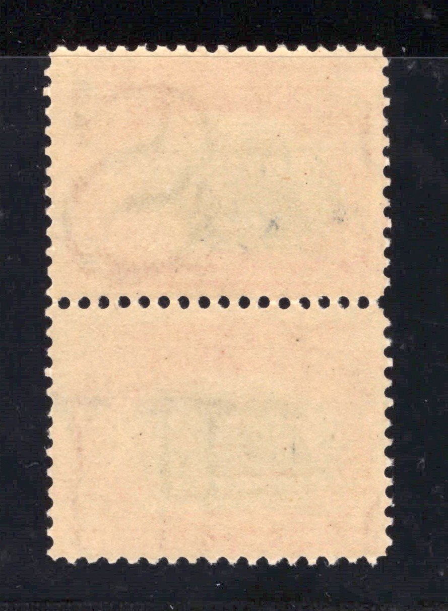 US 295 MNH FVF pair 2c carmine & black Pan-American Exposition PSAG Cert ZAYIX