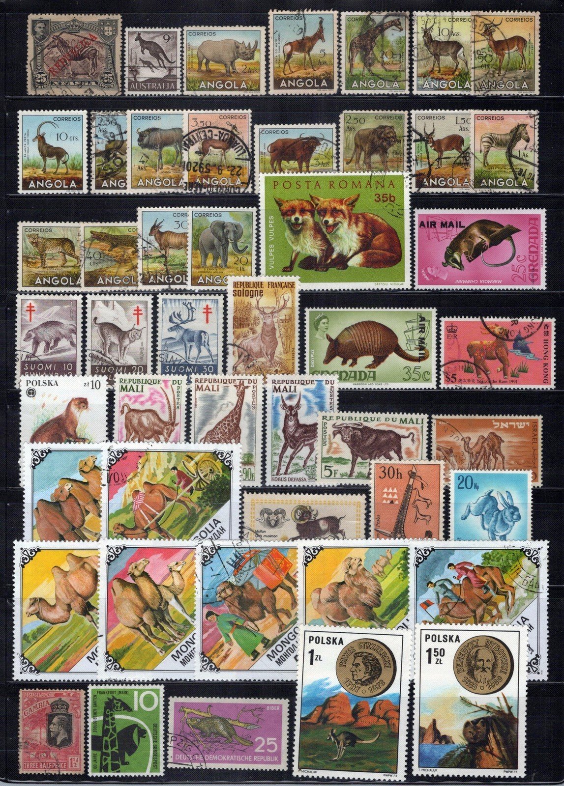 Wild Animals Stamp Collection Mint/Used Wildlife Camels Giraffe ZAYIX 0324S0055