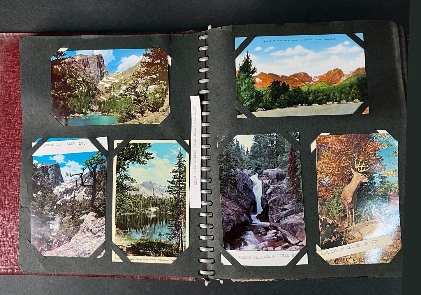 Postcard Collection Beachcraft Album 176 postcards ZAYIX