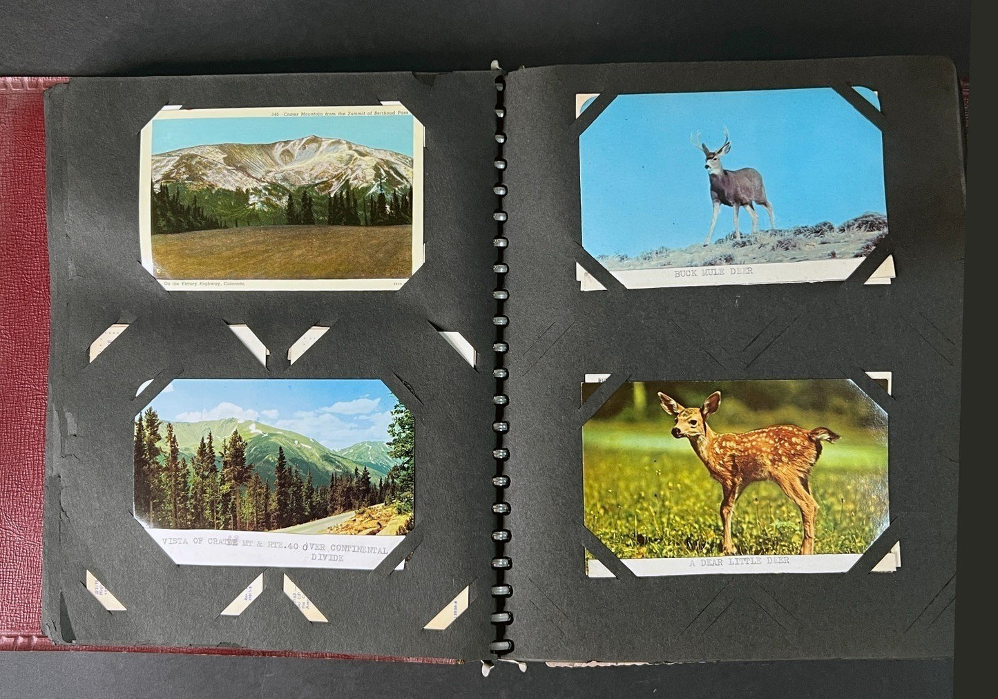 Postcard Collection Beachcraft Album 176 postcards ZAYIX