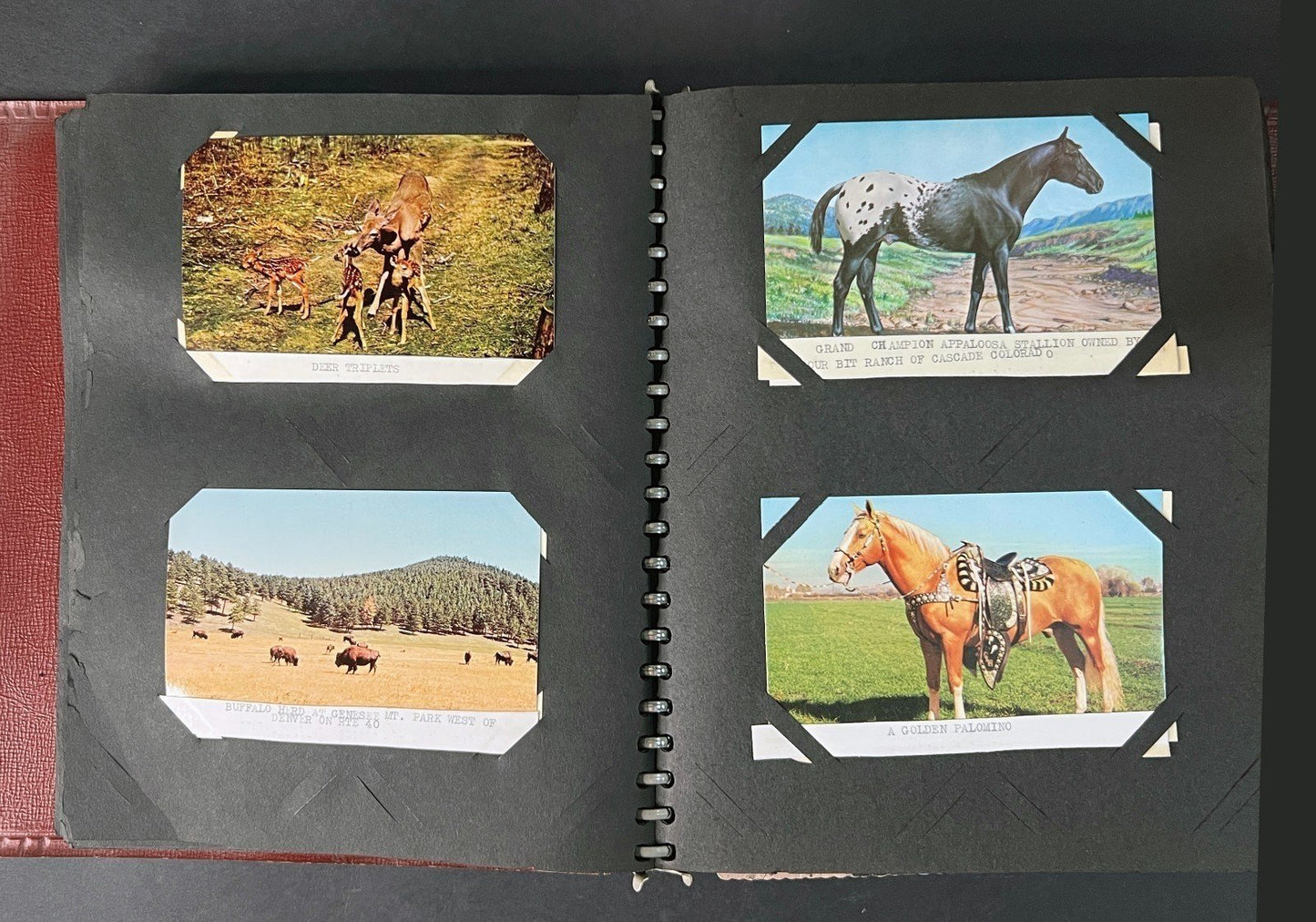 Postcard Collection Beachcraft Album 176 postcards ZAYIX