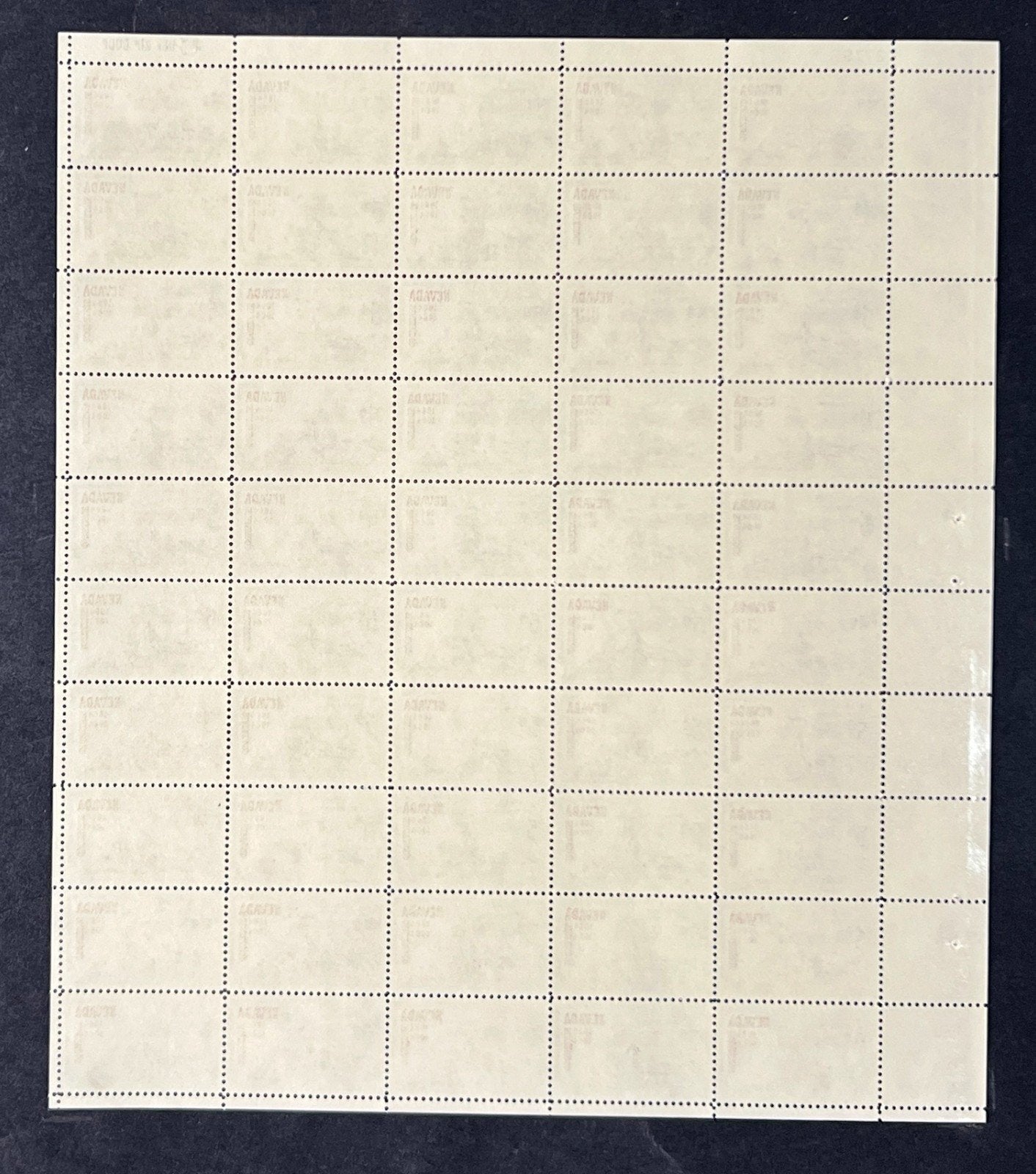 US 1248 Mint Sheet (MNH) Nevada Statehood Centennial 5-Cent 1964 ZAYIX