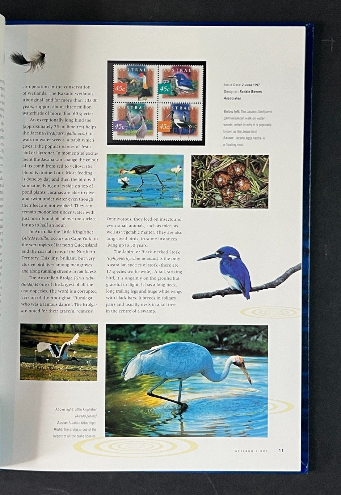 Australia Official 1997 Stamp Mint Year Set Collection stamp pack ZAYIX