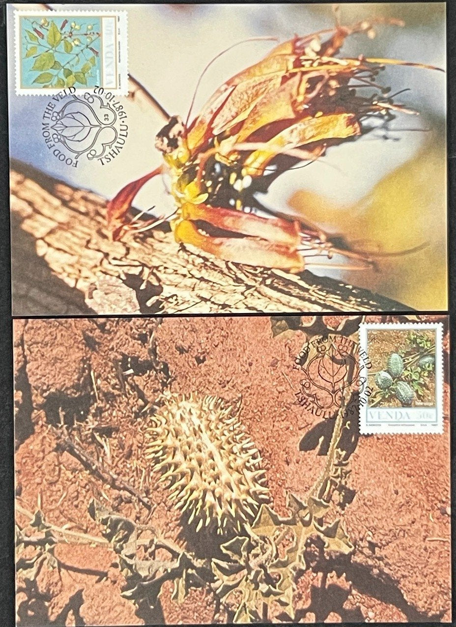 Venda First Day Cover Collection Fish, Plants, Farming FDC 03 ZAYIX