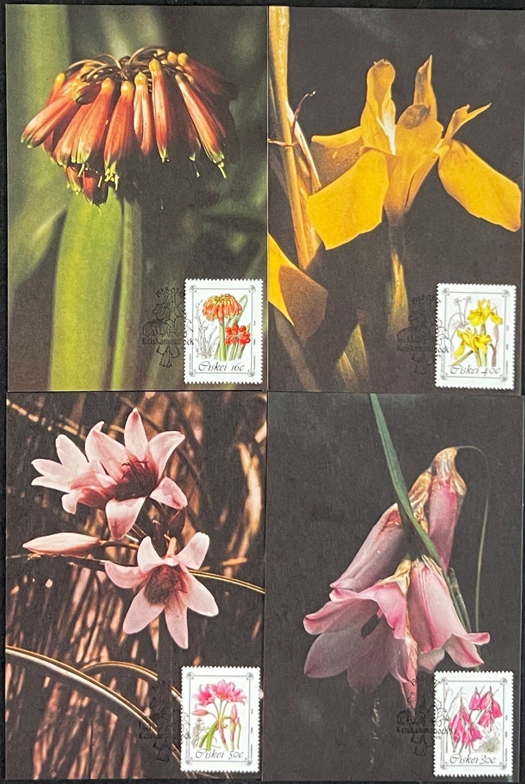 Ciskei First Day Cover Collection Agriculture, Plants, Farming FDC 02 ZAYIX