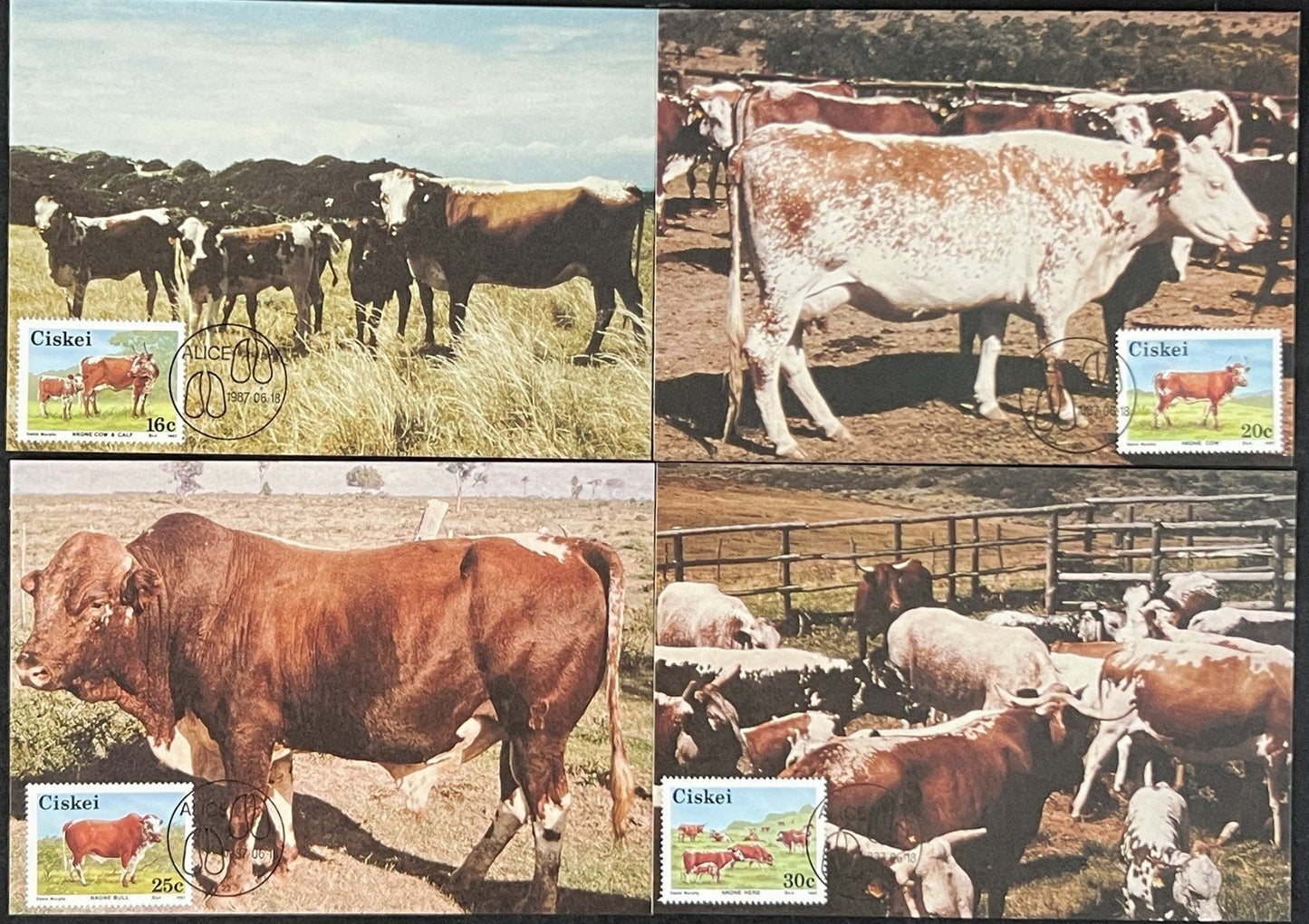 Ciskei First Day Cover Collection Agriculture, Plants, Farming FDC 02 ZAYIX