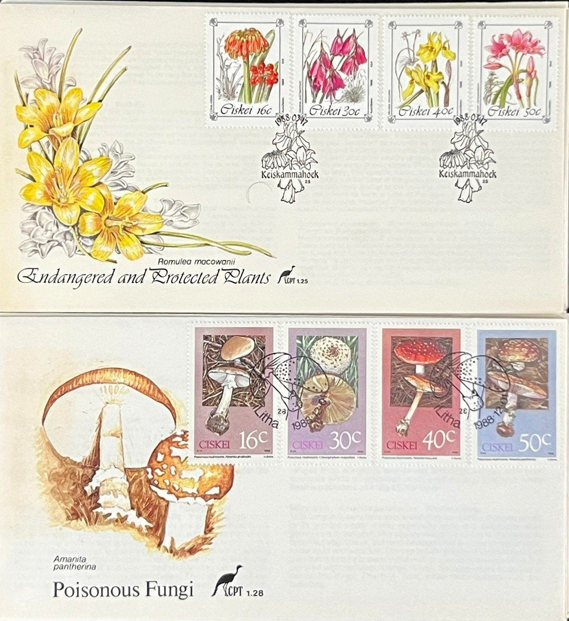 Ciskei First Day Cover Collection Plants, Animals, Flowers FDC 01 ZAYIX