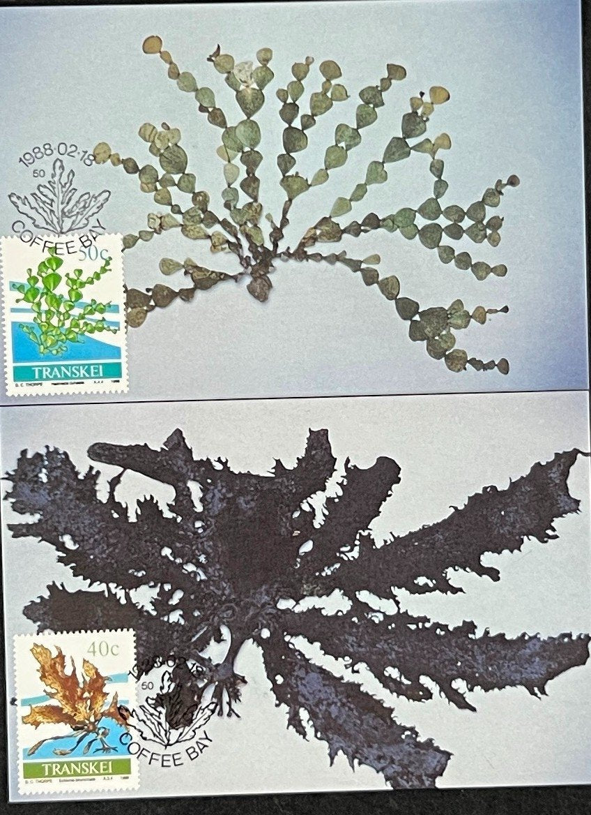 Transkei First Day Cover Collection 01 Animal Plants Agriculture  FDC 1988 ZAYIX