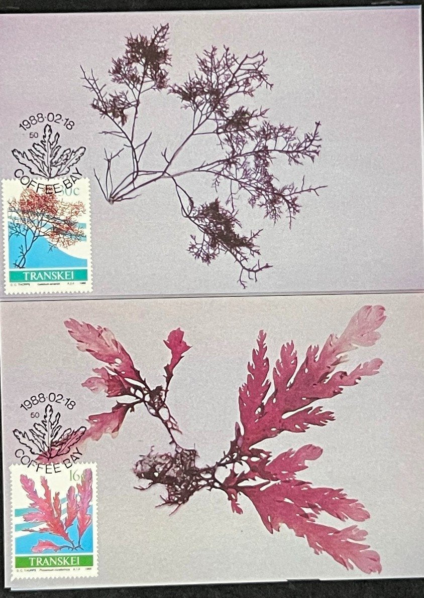 Transkei First Day Cover Collection 01 Animal Plants Agriculture  FDC 1988 ZAYIX