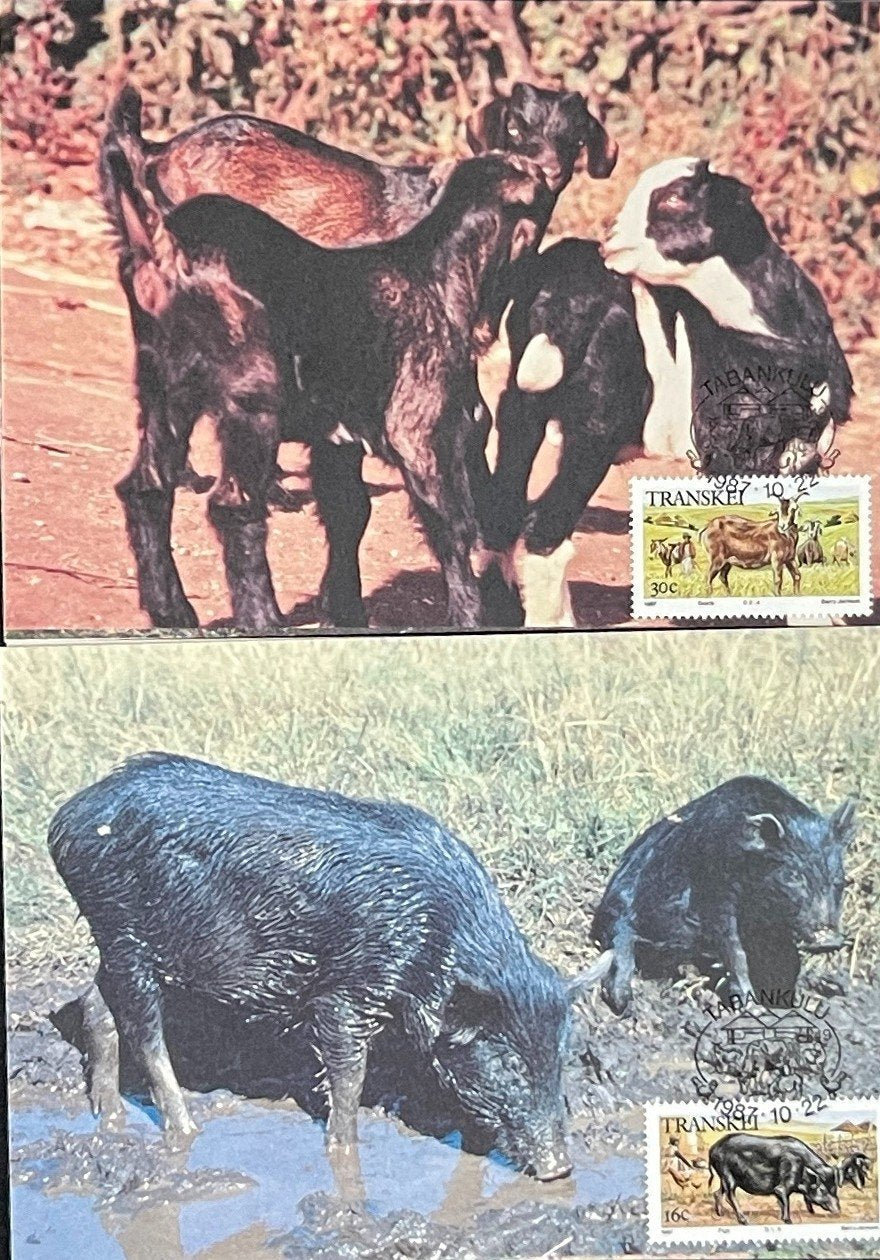 Transkei First Day Cover Collection 01 Animal Plants Agriculture  FDC 1988 ZAYIX