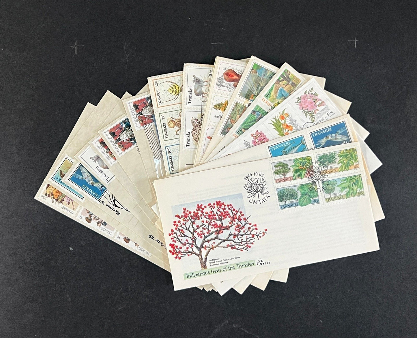 Transkei First Day Cover Collection 02 Nature, Plants, Flowers FDC 1988 ZAYIX