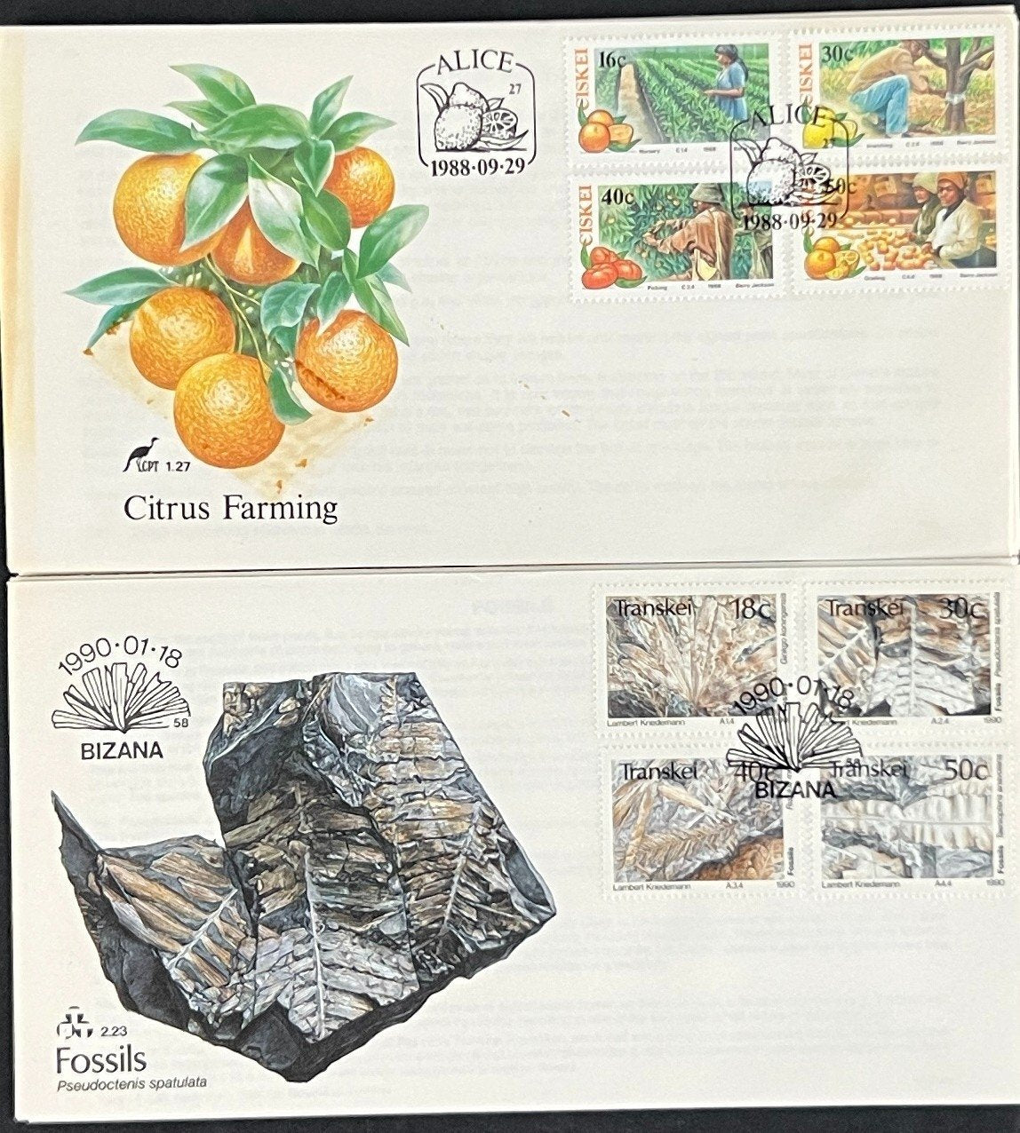 Transkei First Day Cover Collection 02 Nature, Plants, Flowers FDC 1988 ZAYIX