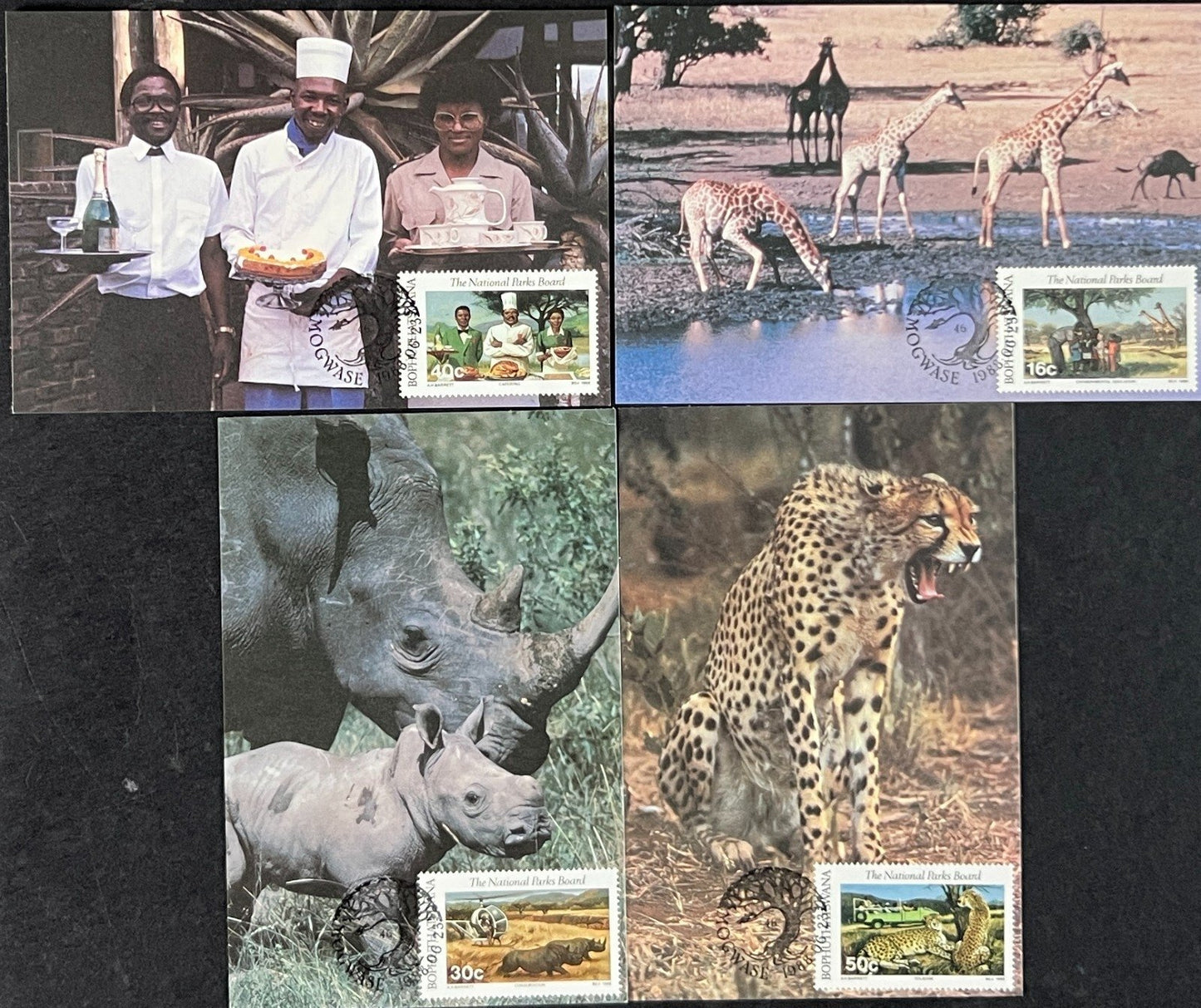 Bophuthatswana First Day Cover Collection Birds Architecture Animal FDC 02 ZAYIX