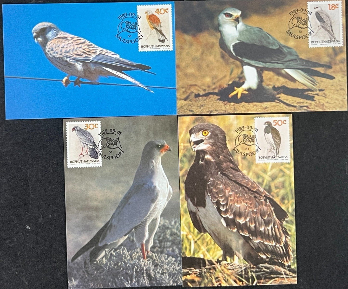 Bophuthatswana First Day Cover Collection Birds Architecture Animal FDC 02 ZAYIX