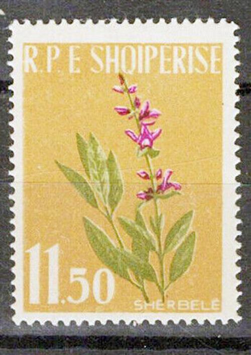 Albania 615 MNH Medicinal Plants, Sage, Flowers, Medicine ZAYIX 1223S0243M