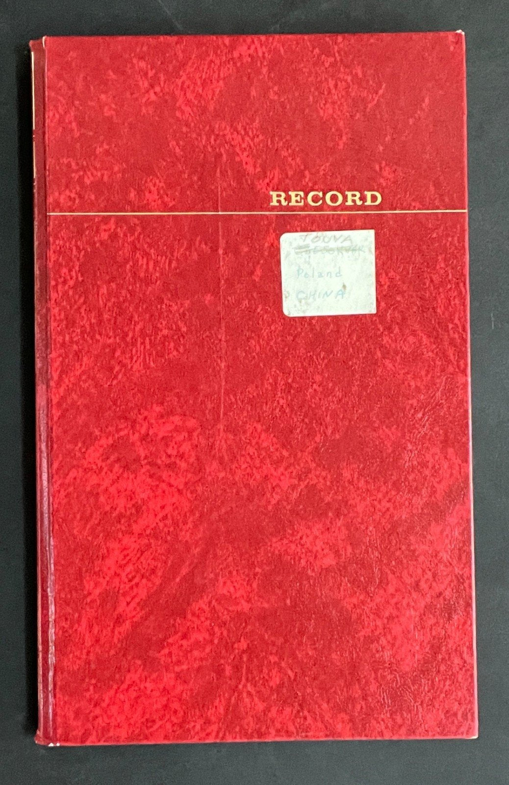 Poland & China Stamp Collection Stock Book Hundreds of Stamps Used ZAYIX