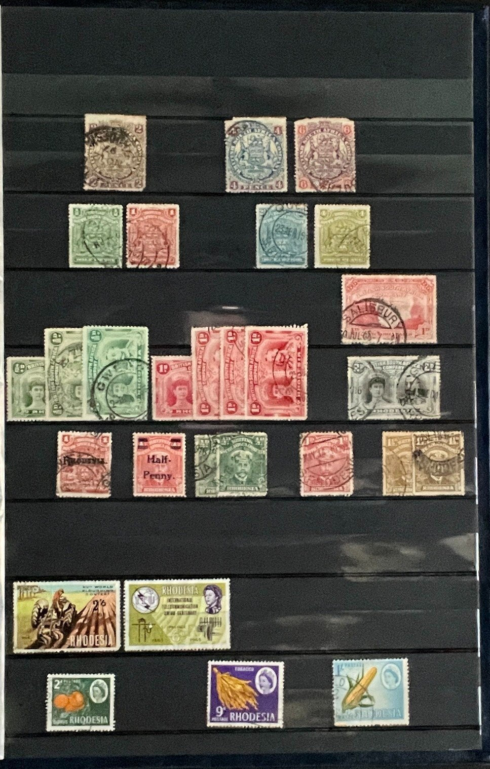 British Africa Stamp Collection Stock Book Hundreds of Stamps Mint & Used ZAYIX