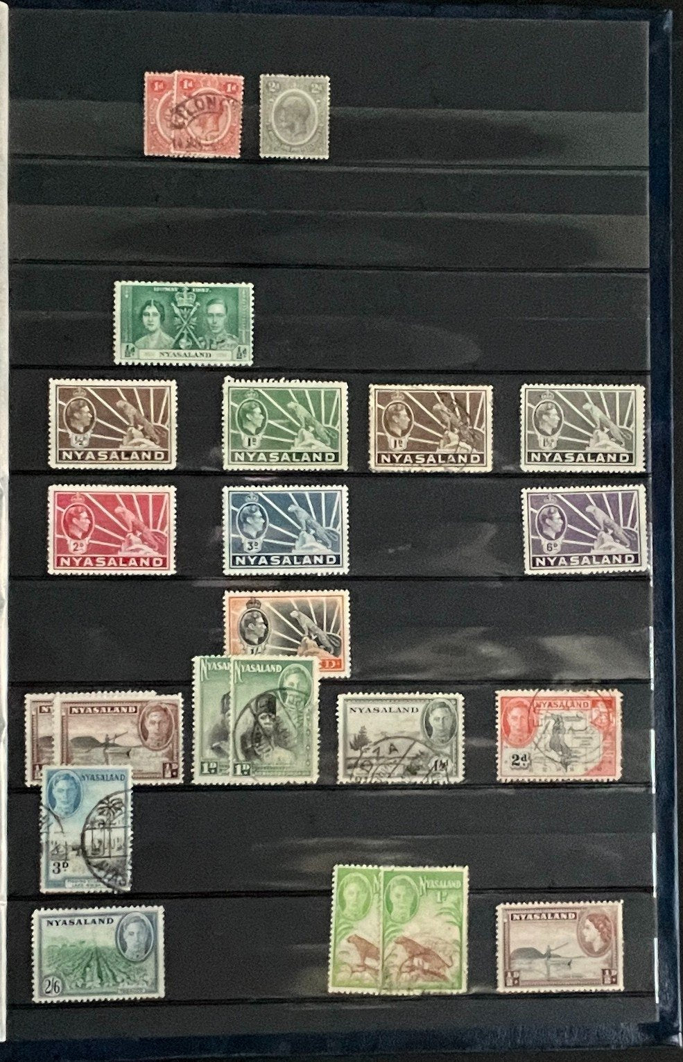 British Africa Stamp Collection Stock Book Hundreds of Stamps Mint & Used ZAYIX