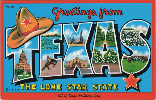 ZAYIX Postcard Texas the Lone Star State Cowboys Cotton John Hinde 083022PC24