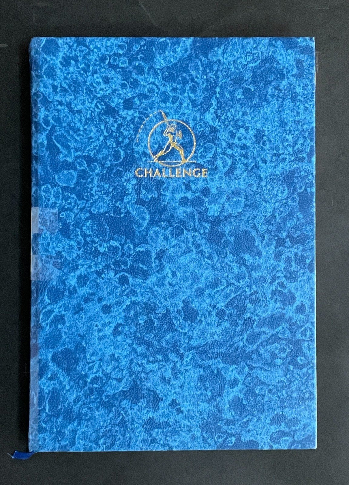 Austria Stamp Collection Stock Book Hundreds of Stamps Mint & Used ZAYIX
