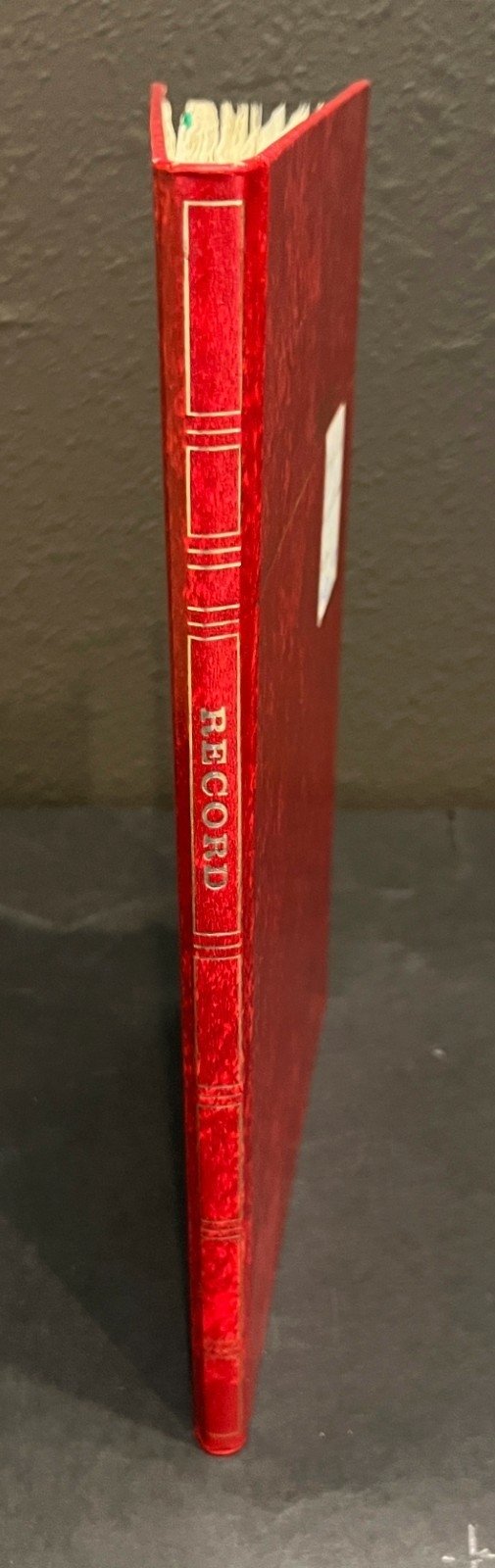 Communist Countries Stamp Collection Stock Book Hundreds of Stamps Used ZAYIX
