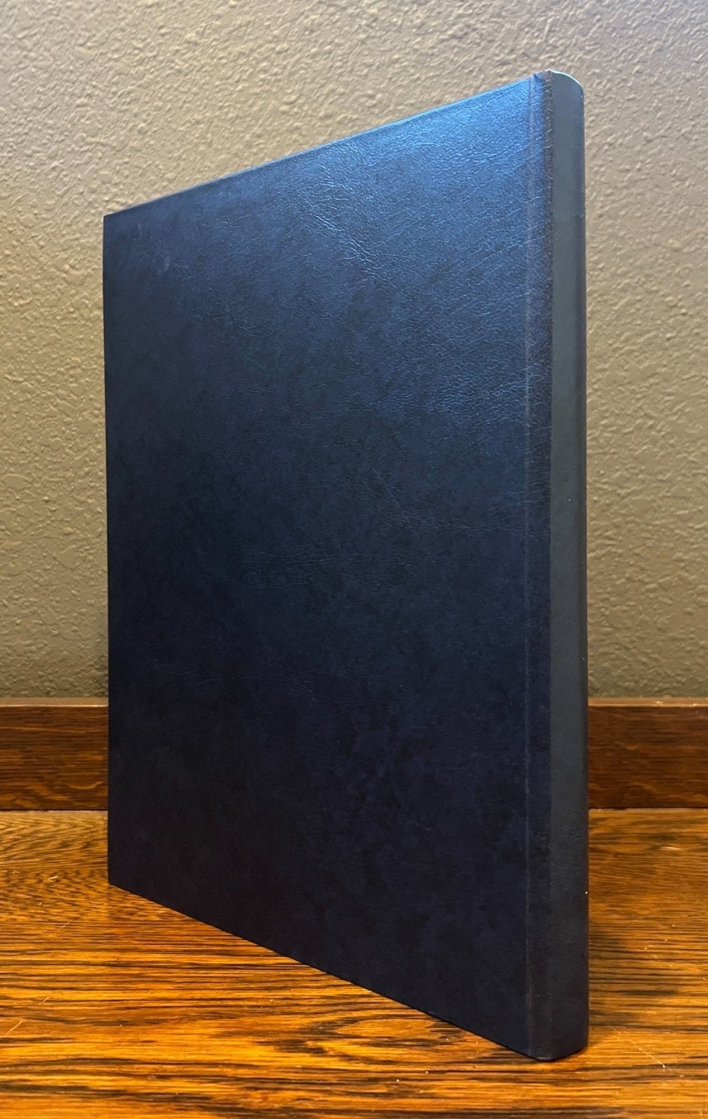 Briefmarken 16 page Stock Book Used White Pages for Stamp Collecting ZAYIX
