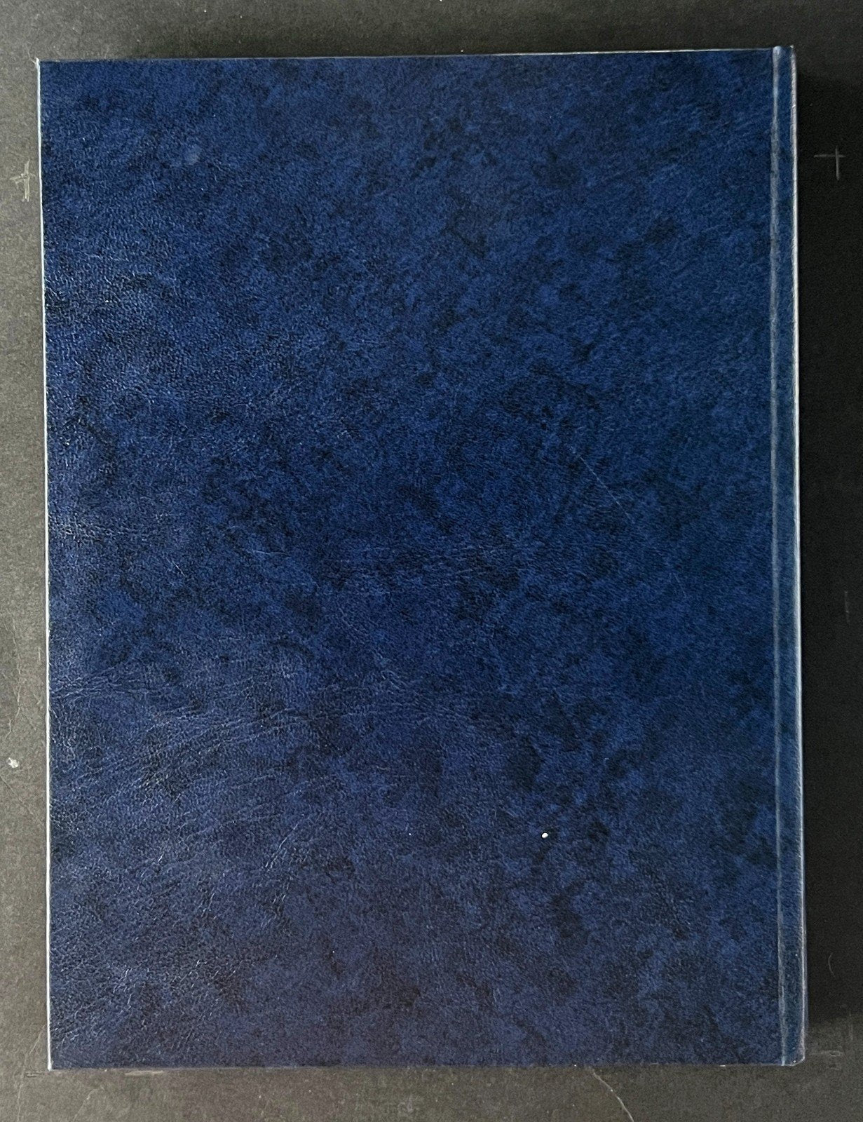 Briefmarken 16 page Stock Book Used White Pages for Stamp Collecting ZAYIX