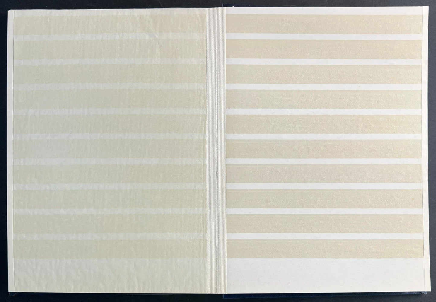 Briefmarken 16 page Stock Book Used White Pages for Stamp Collecting ZAYIX