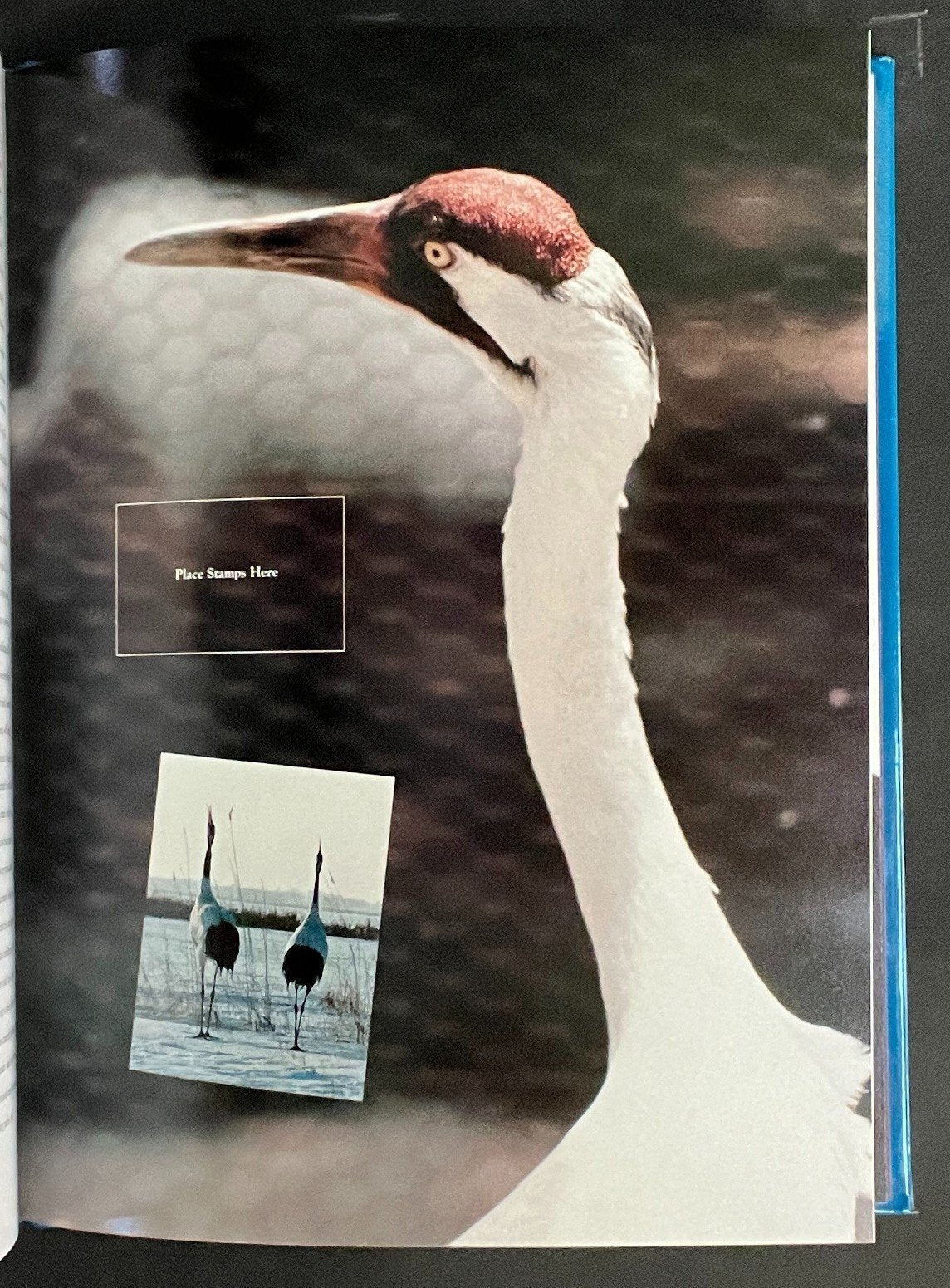 United States The 1994 Commemorative Stamp Yearbook Hard Cover Mint Sets ZAYIX