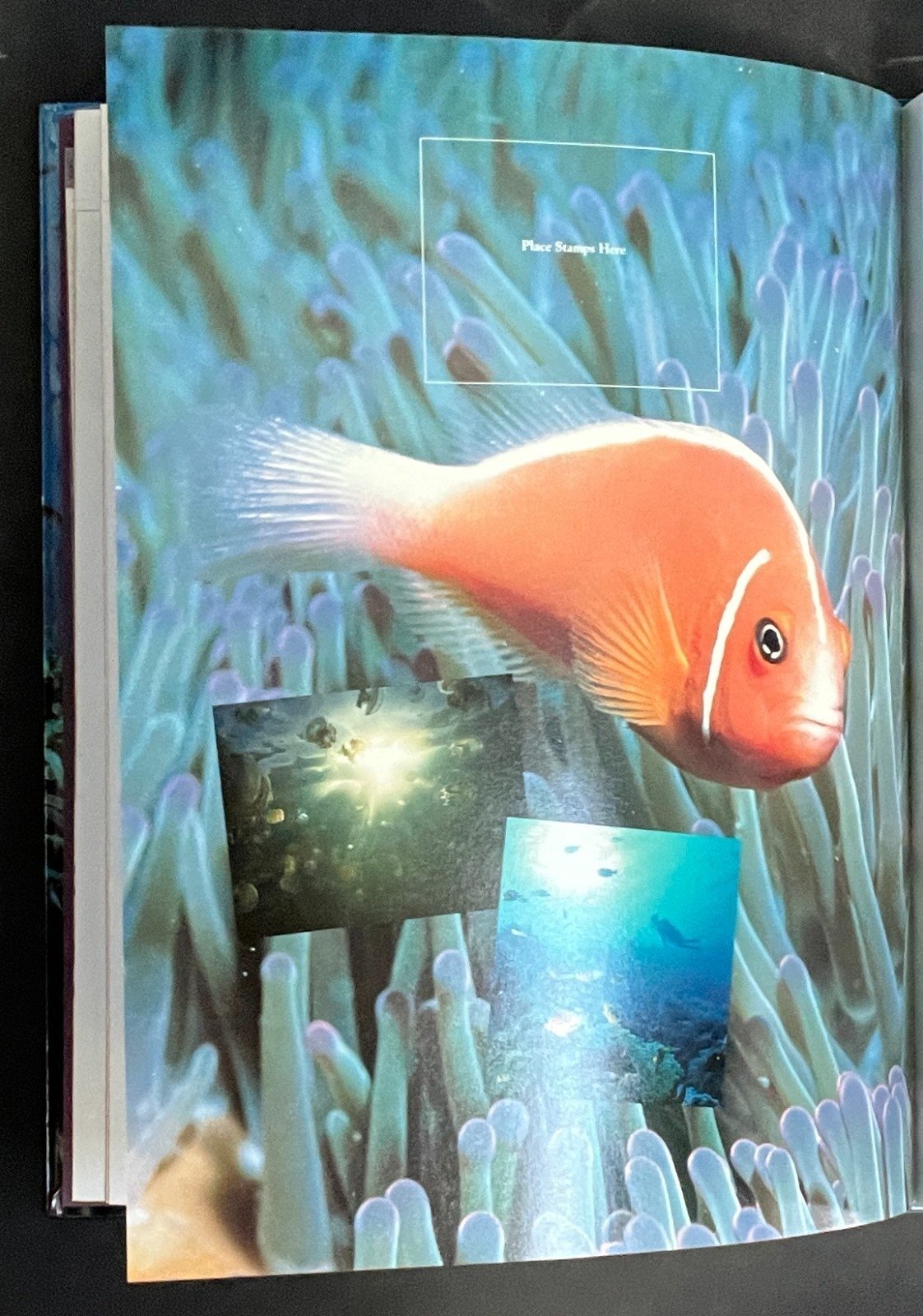 United States The 1994 Commemorative Stamp Yearbook Hard Cover Mint Sets ZAYIX