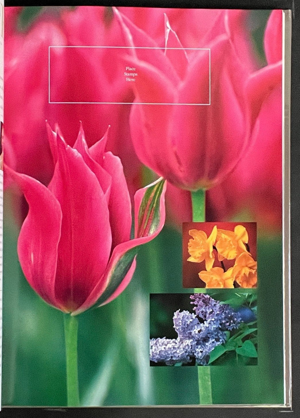 United States The 1993 Commemorative Stamp Yearbook Hard Cover Mint Sets ZAYIX