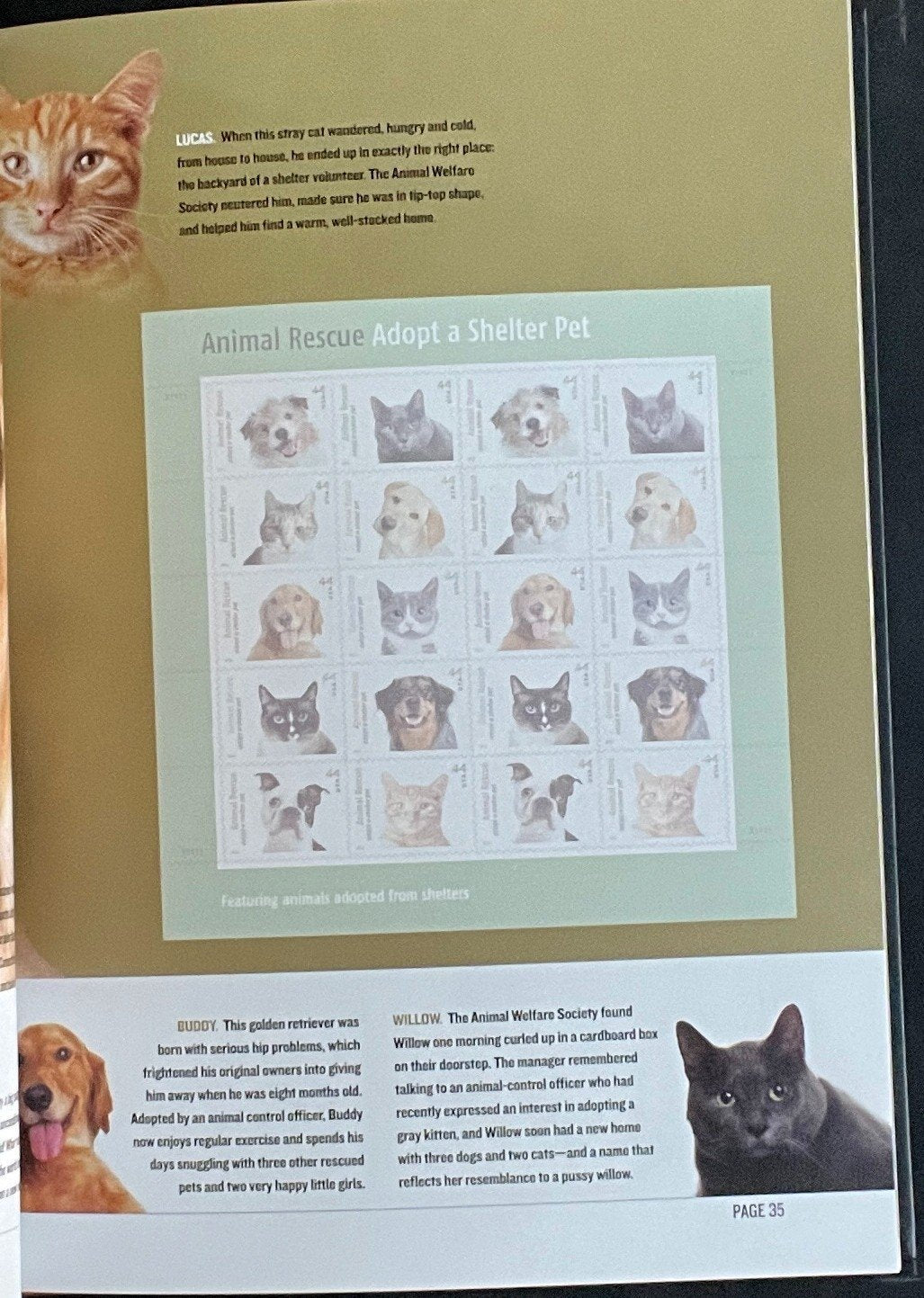 United States The 2010 Commemorative Stamp Yearbook Hard Cover Mint Sets ZAYIX