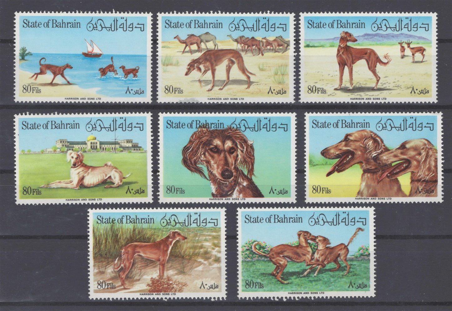 Bahrain 256 a-h MNH VF 1977 Saluki Dogs singles - Camels ZAYIX