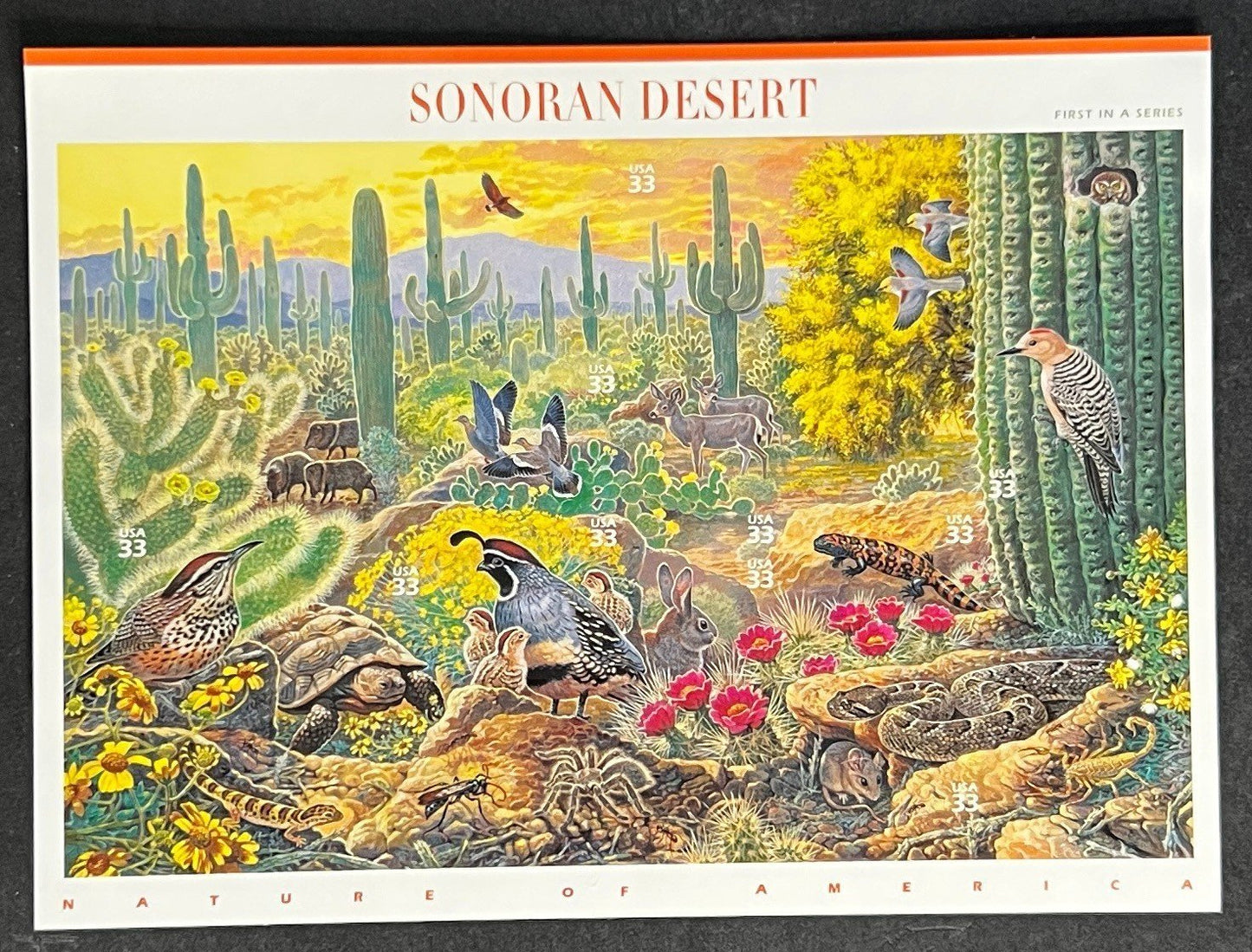 US 3293 Mint Sheet (MNH) Sonoran Desert 33-Cent 1999 ZAYIX