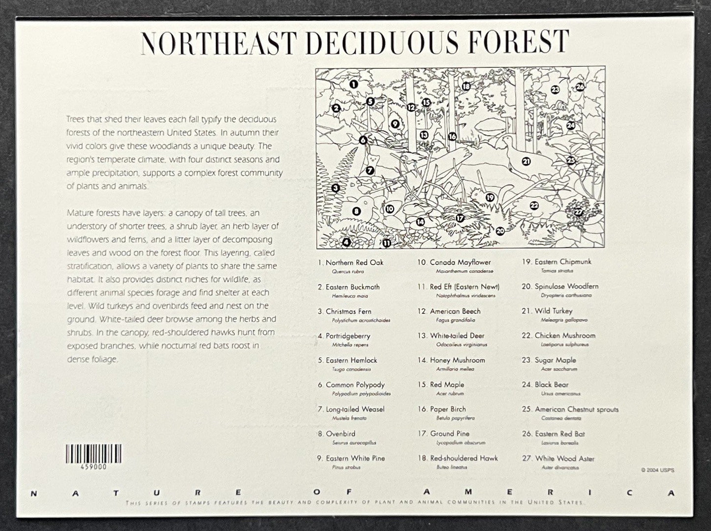 US 3899 Mint Sheet (MNH) Deciduous Forest 37-Cent 2005 ZAYIX