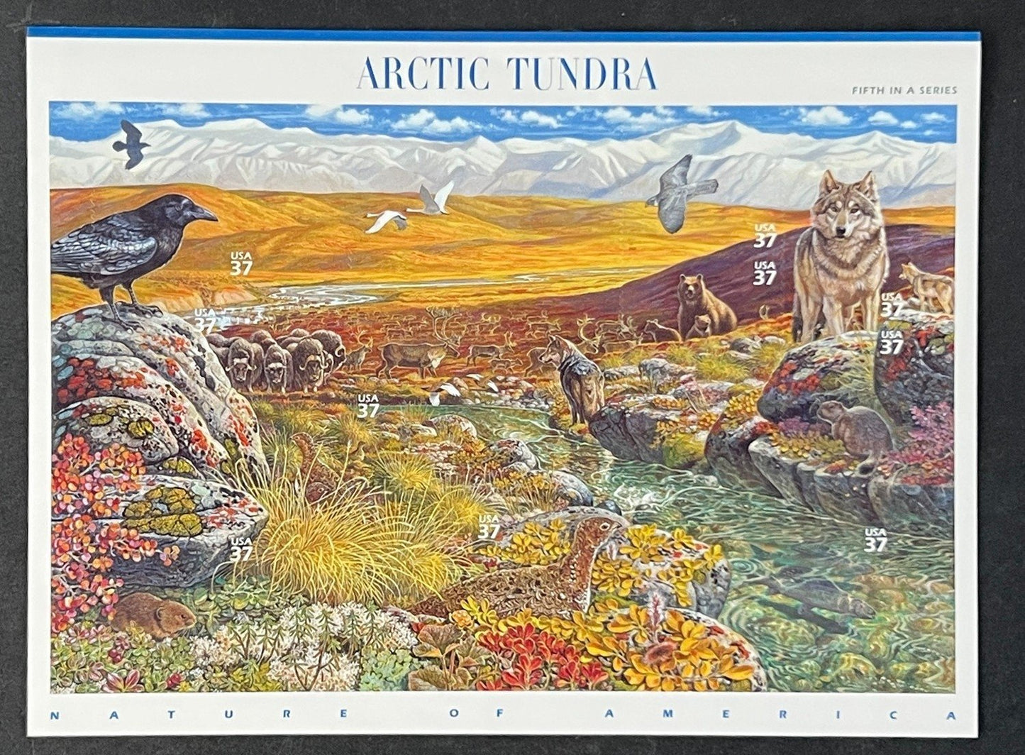 US 3802 Mint Sheet (MNH) Arctic Tundra 37-Cent 2003 ZAYIX