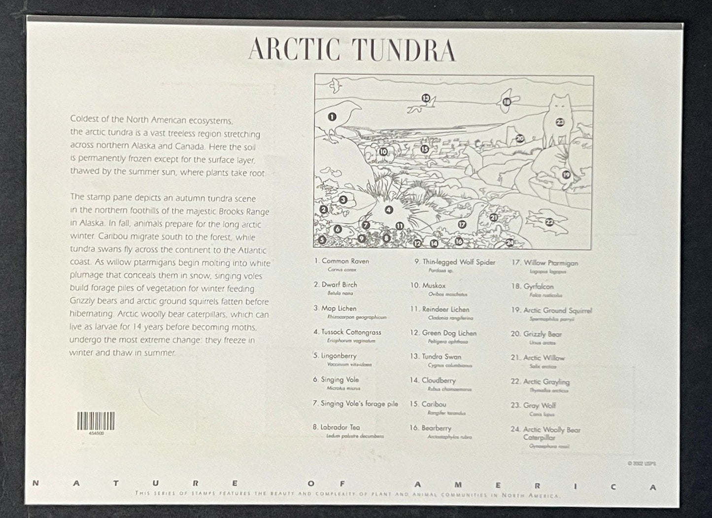 US 3802 Mint Sheet (MNH) Arctic Tundra 37-Cent 2003 ZAYIX