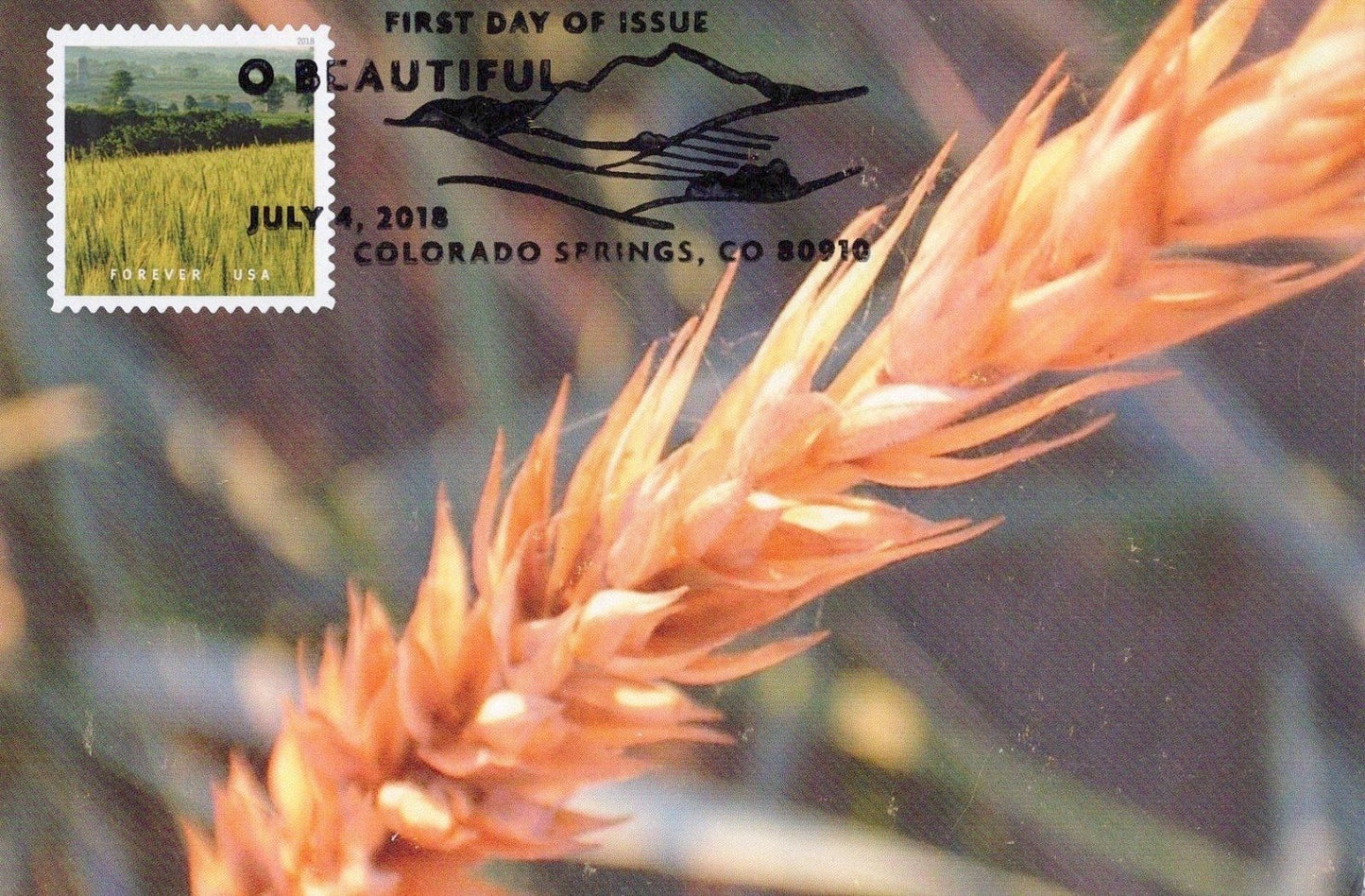 United States Maxicard FDC Collection 20 Cards ZAYIX