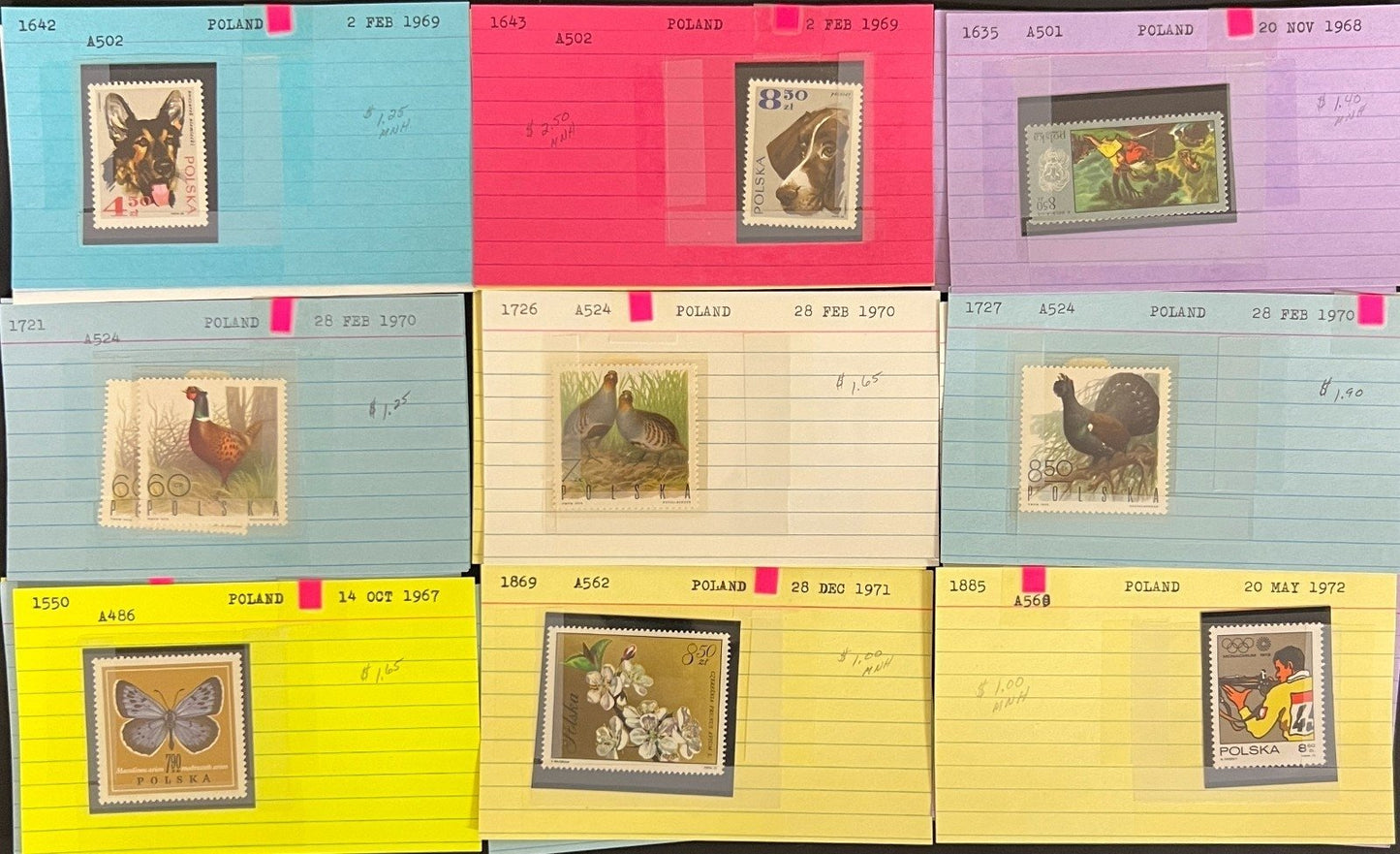 Europe Stamp Collection Dealer Cards Mint & Used Thousands of Stamps ZAYIX