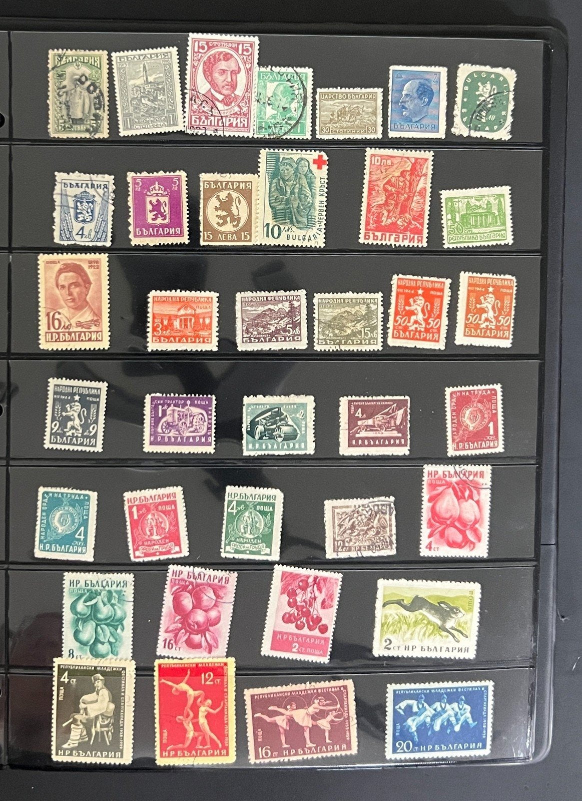 B-F Countries World Wide Stamp Collection 28 Stock Pages Mint & Used ZAYIX