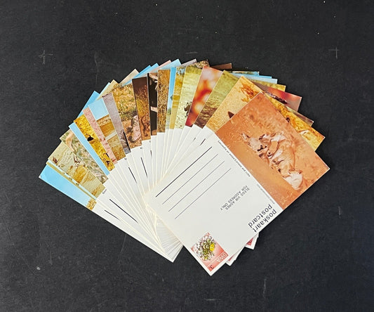 South West Africa Post Card Collection of Animals 20 Unused Cards ZAYIX