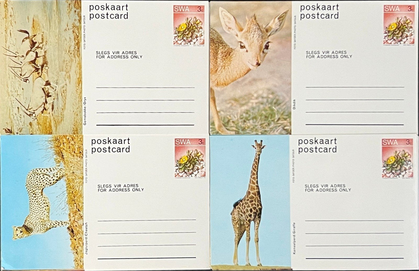 South West Africa Post Card Collection of Animals 20 Unused Cards ZAYIX