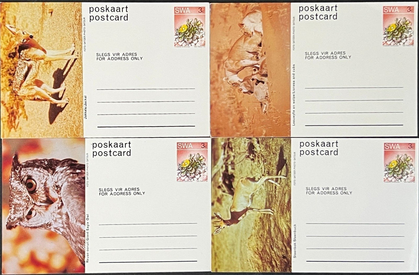 South West Africa Post Card Collection of Animals 20 Unused Cards ZAYIX