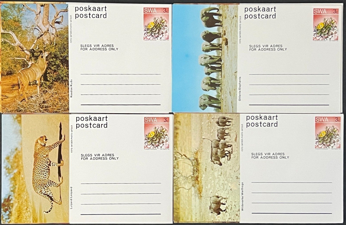 South West Africa Post Card Collection of Animals 20 Unused Cards ZAYIX
