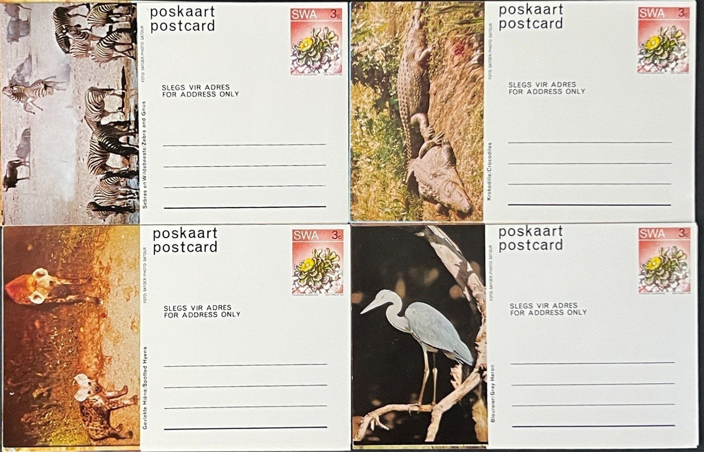 South West Africa Post Card Collection of Animals 20 Unused Cards ZAYIX