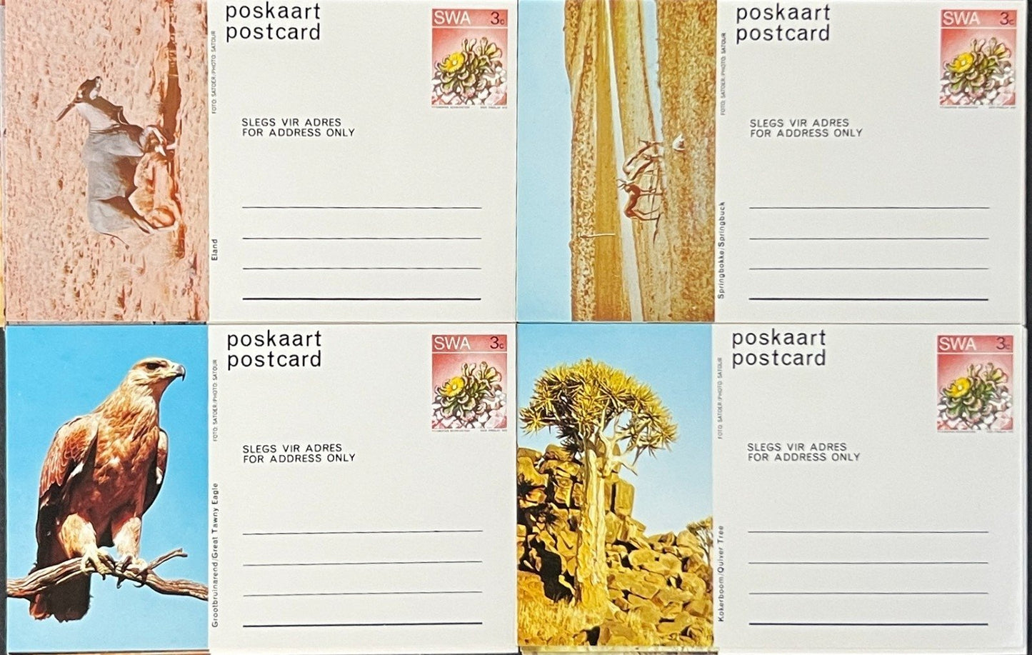 South West Africa Post Card Collection of Animals 20 Unused Cards ZAYIX