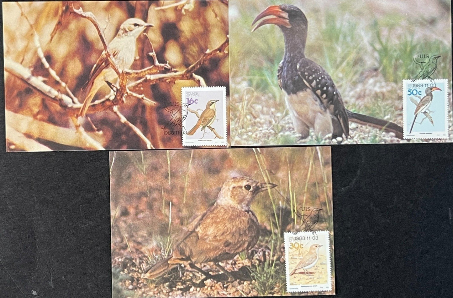 South West Africa FDC & Event Covers 16 Cards 1987-1989 ZAYIX