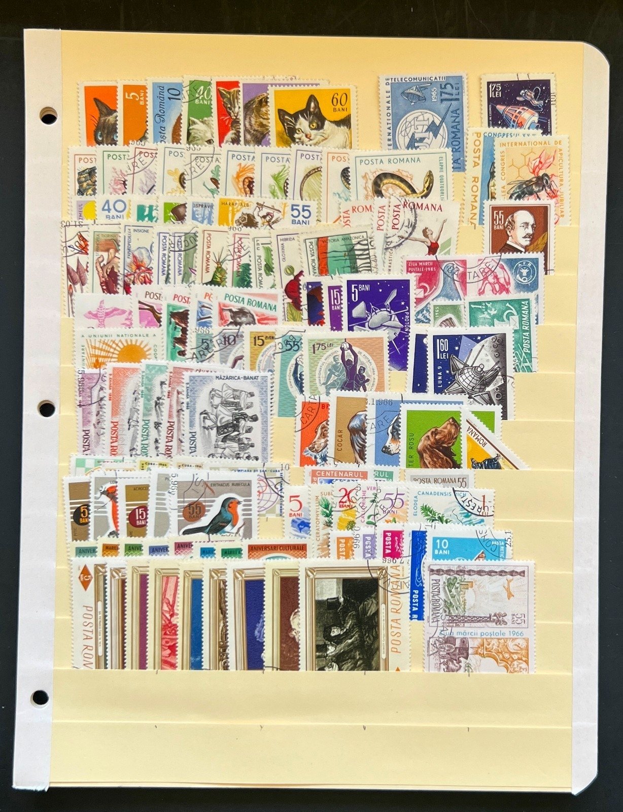 Romania Assorted Stamp Collection 34 Stock Pages Hundreds of Stamps Used ZAYIX