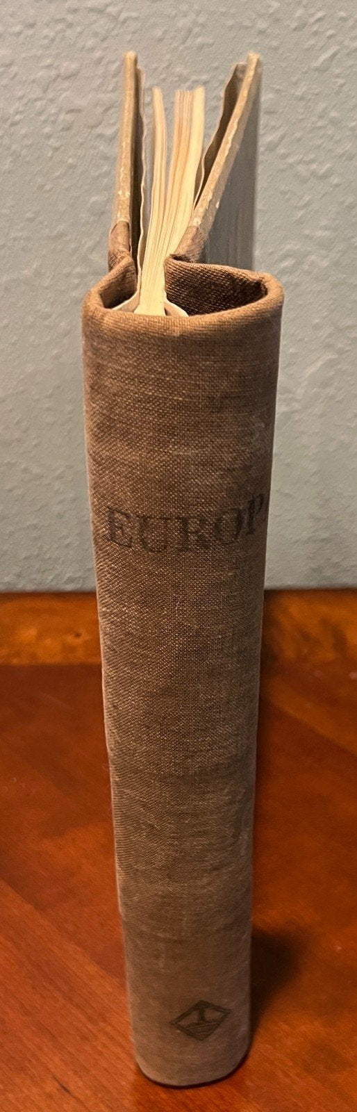 Europa Stamp Collection Album Mint & Used ZAYIX