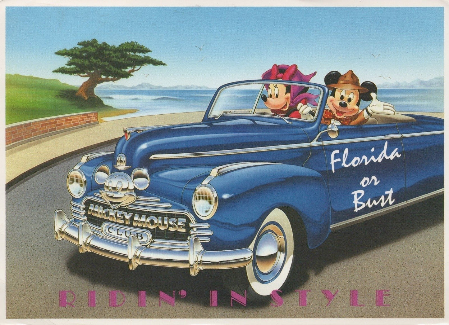 Disney & Mickey Mouse Postcard Collection 40 Cards ZAYIX